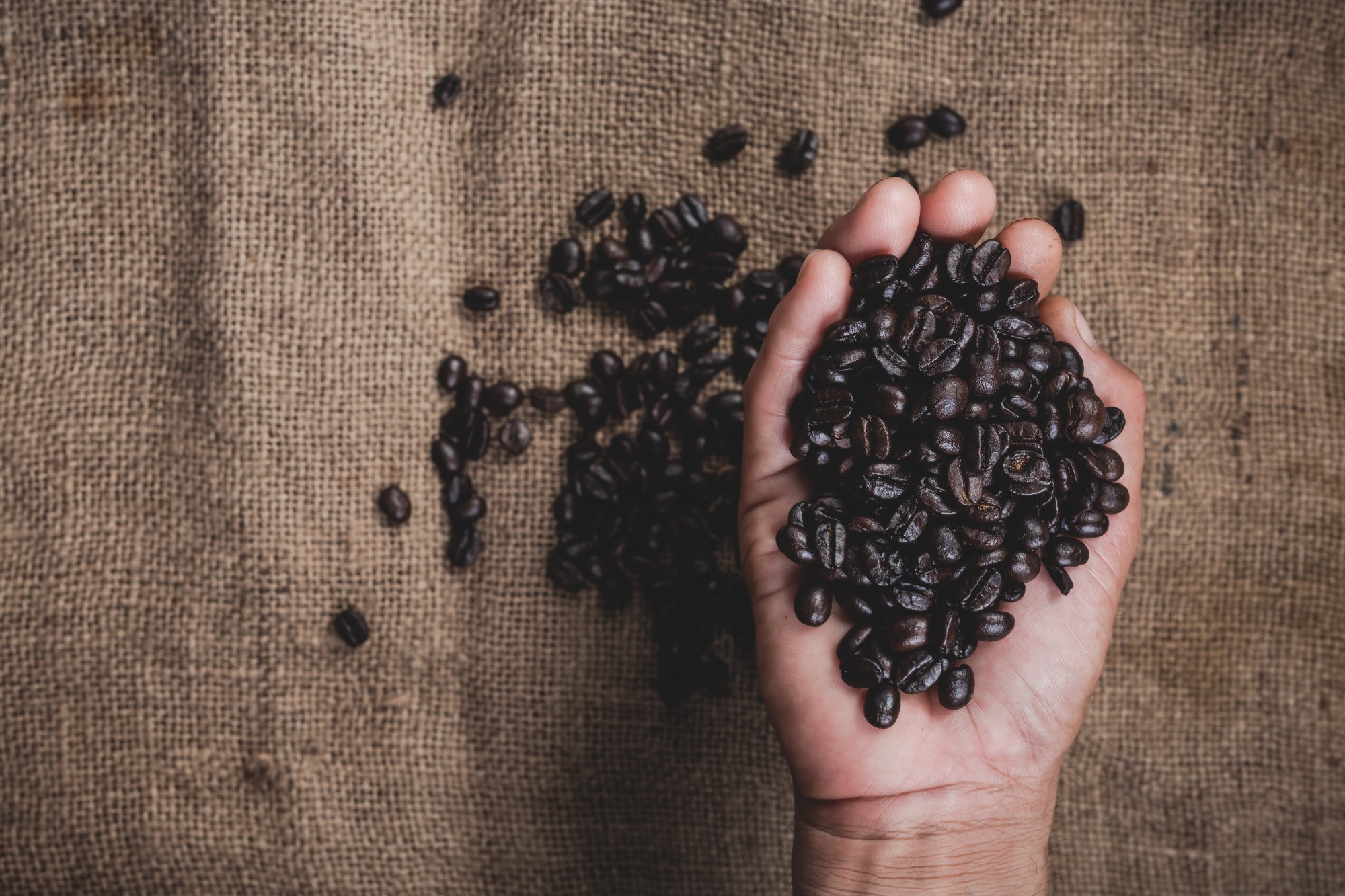 Single-Origin Coffee