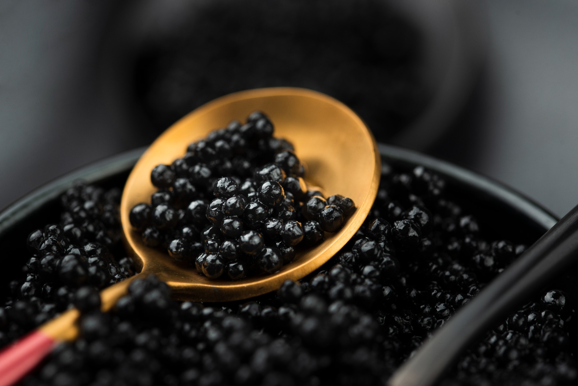 Classic Tapioca Pearls